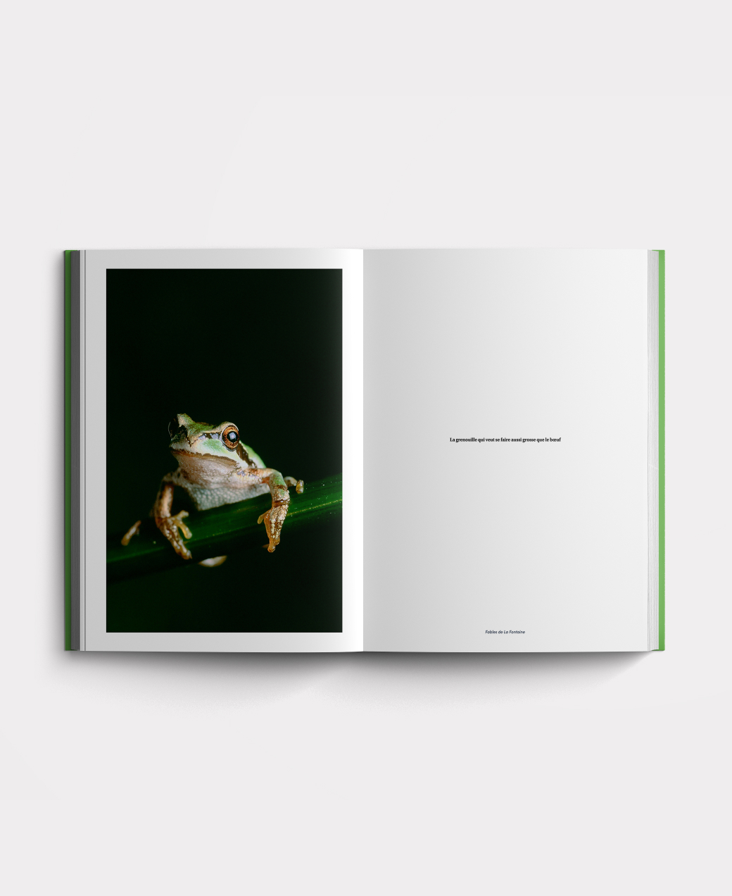 Inside the Structured French course book