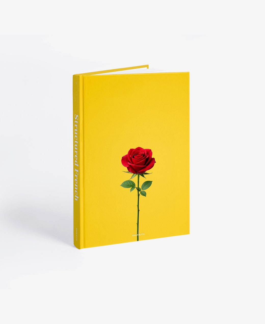 Book photo beginners five