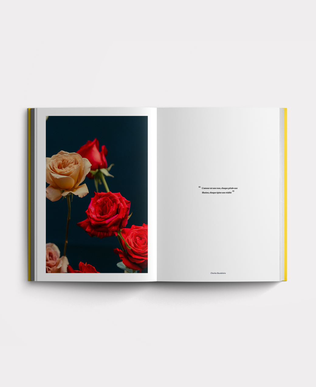 Inside the Structured French course book