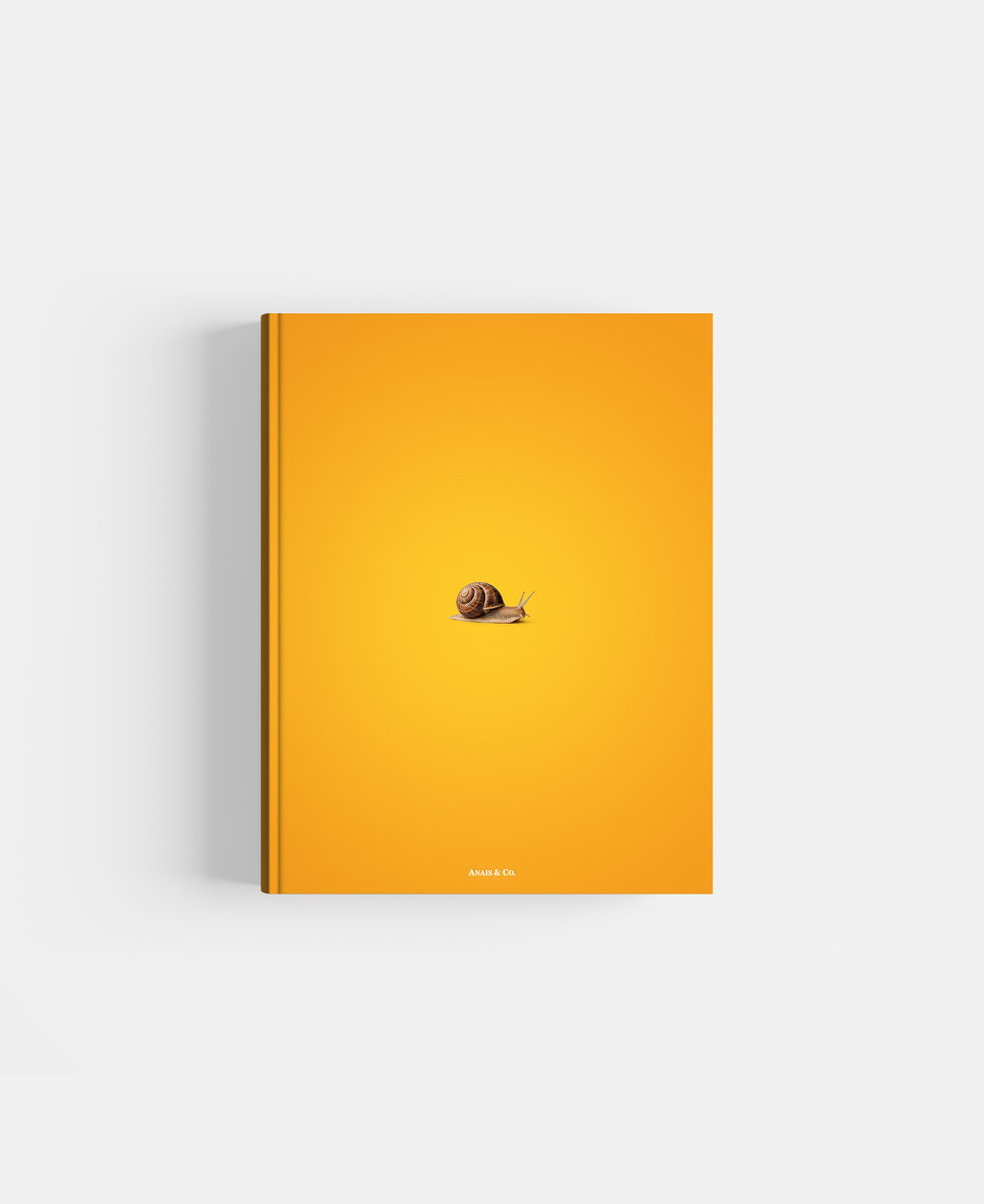 Book photo beginners one