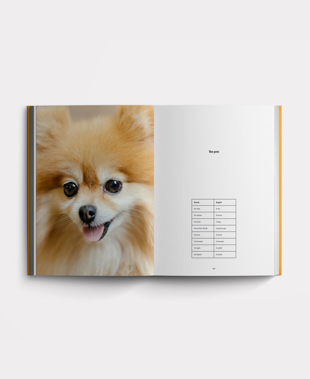 Book photo beginners one