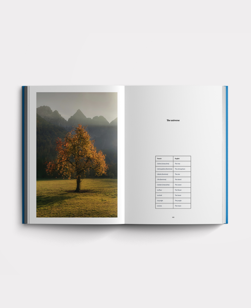 Book photo beginners two