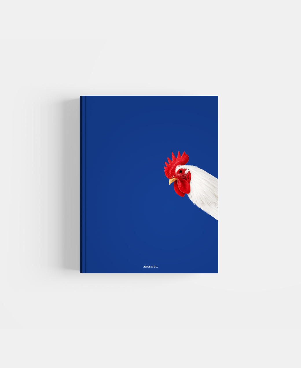 Book photo beginners two