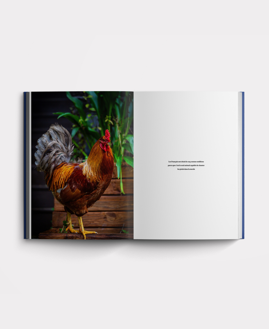 Inside the Structured French course book