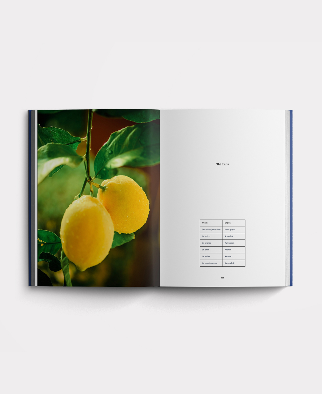 Inside the Structured French course book