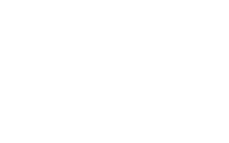 Norton logo
