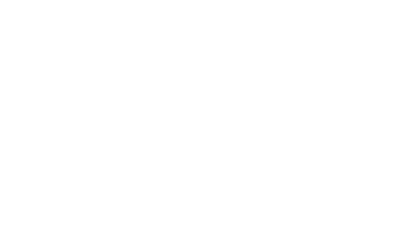 NY Times logo