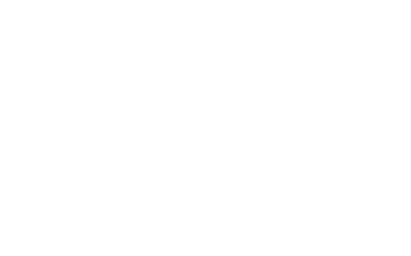 skadden logo