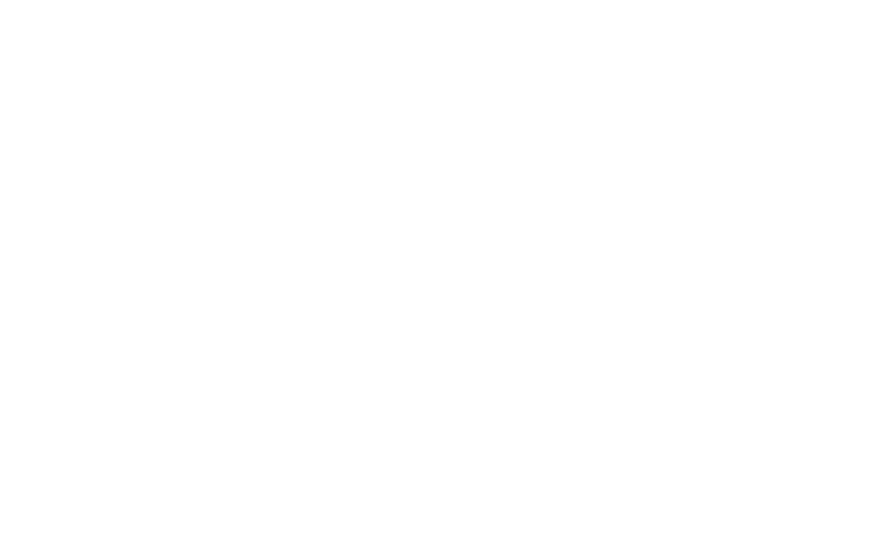 stephenson logo