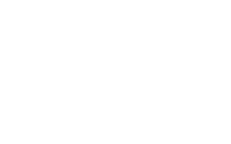 Visa logo